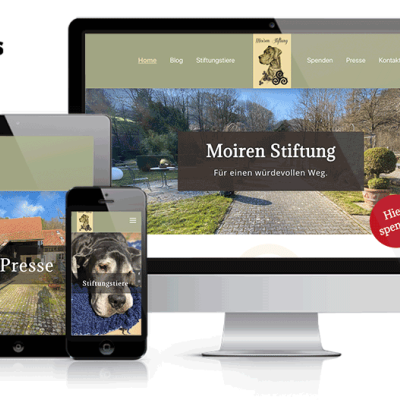 webdesign-solothurn-moiren-stiftung